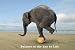 Posters: Motivational Poster - Balance Is The Key To Life (36 x 24 inches)