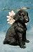 Black Lab Labrador Angel Dog Christmas Ornament
