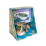 41uaousBZ2L. SL160  Smithsonian   Puffer Fish Book and Toy Set