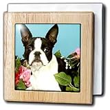 Emma Boston Terrier - 6 Inch Tile Napkin Holder