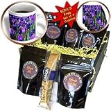 Coffee Gift Baskets
