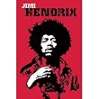 Jimi Hendrix Revolution Rock Guitar Poster Print 24x36