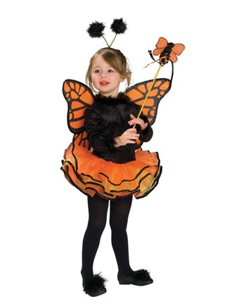 Child's Costume, Orange Butterfly Costume