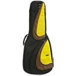 Ritter Revolution Chromo-9-B/BSG Gig Bag Bass Guitar Bag