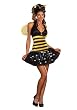 Miss Bee Dee-Light-Ful Costume