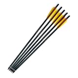 Standard Compound Crossbow Bolt 20 - set of 5