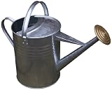 Arrosoir Métallique Vintage 4,5L - Acier Galvanisé Avec Tête De Rose Amovible