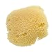Natural Sea Sponge/Facial Sponge Cleaning by Bellesha