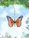 Monarch Butterfly Small