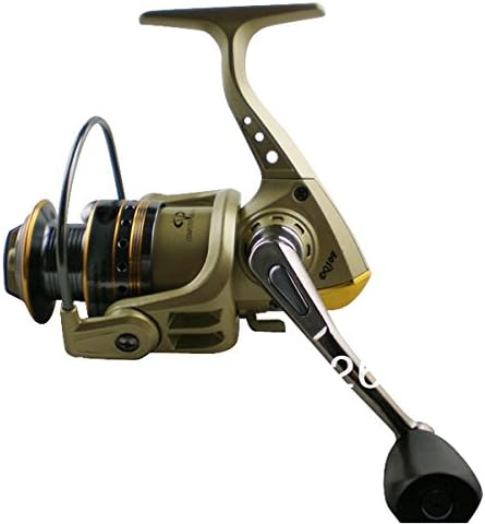 Front Drag Spinning Fishing Reels Dq10F 8+1Bb