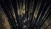 Dark-Souls-Collector's-Edition_14.jpg