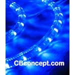 Blue 100 FT 110V-120V LED Rope light Kit, 1.0" LED spacing, Christmas Lighting, Outdoor rope light $189.99