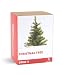 Search : Gift Republic , Grow It , Grow Your Own Christmas Tree