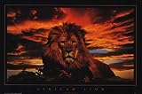 African Lion (Sunrise) Art Poster Print - 24