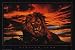African Lion (Sunrise) Art Poster Print - 24 X 36