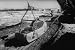 Impacts of American Industrialization: New Neighbor (1951) [DVD] - The Building of a Steel Mill & The Effects of the Steel Industry