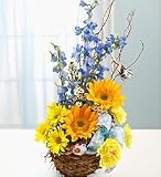 Flowers by 1800Flowers - Welcome to the Nest Baby Boy