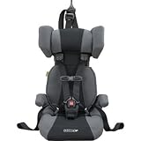 Safeguard Go Hybrid Booster Seat Gray
