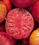 Mortgage Lifter Tomato 65 Seeds - Heirloom!