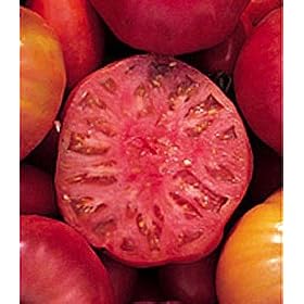 Mortgage Lifter Tomato 30 Seeds - Heirloom