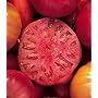 Mortgage Lifter Tomato 65 Seeds - Heirloom!