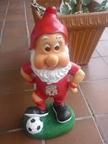 Liverpool Garden Gnome