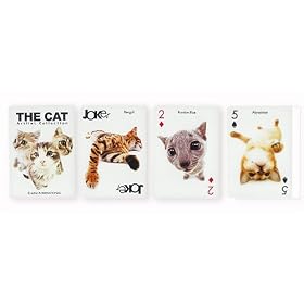 The Cat Playing Cards