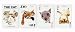 The Cat Playing Cards