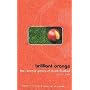 Brilliant Orange: The Neurotic Genius of Dutch Football