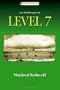 Level 7