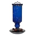 20% Off Perky-Pet 8117-2 Cobalt Blue Antique Bottle Hummingbird Feeder