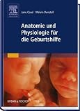 Anatomie und Physiologie für die Geburtshilfe