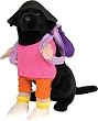 Dog Costumes - Dora the Explorer Dog Costume Small Dog