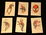 Spiderman Tattoos 72 pc