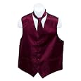 Men's Maroon Paisley Jacquard Suit Vest and Neck Tie Set