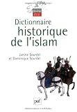 Dictionnaire historique de l islam