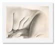Charles Sheeler, Nude