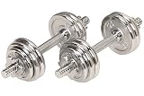  : Sunny Health and Fitness 33 Pound Chrome Dumbells