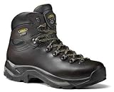 Asolo Men's TPS 520 GV Hiking Boot in Medium Width