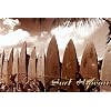 Surf Hawaii Poster Print by Jason Ellis, 36x24 Photography Poster Print by Jason Ellis, 36x24