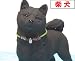 お友達炭の華 とるまワンコ 「柴犬」: 癒しと消臭!お部屋をリラックス空間に「柴犬」臭いを取ってあなたの帰りを待っています。■ お世話の仕方 1) とるまワンコは紫外線と極度の乾燥が嫌いです。日当たりの良い場所や暖房機やエアコン等の近くを避け...