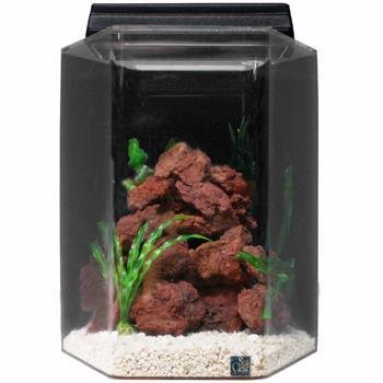 SeaClear Deluxe Hexagon Aquarium Combo