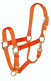 Hamilton 1 Nylon Adjustable Chin Halter with Snap, Large Size (1100-1600 lbs), Orange