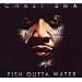Fish Outta Water