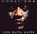 Fish Outta Water