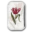 Red Tulip - Rectangle Glass Paperweight (2-1/2" x 4" x 1")