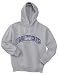 Illinois #2 Adult Hooded Sweatshirt