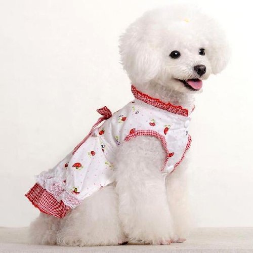 dog dress online