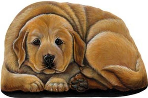 golden retriever dog names. Golden Retriever Puppy Door
