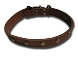 LOVEPET Amazing Fashion Rivets Leather Collar, 1.2' X 26'